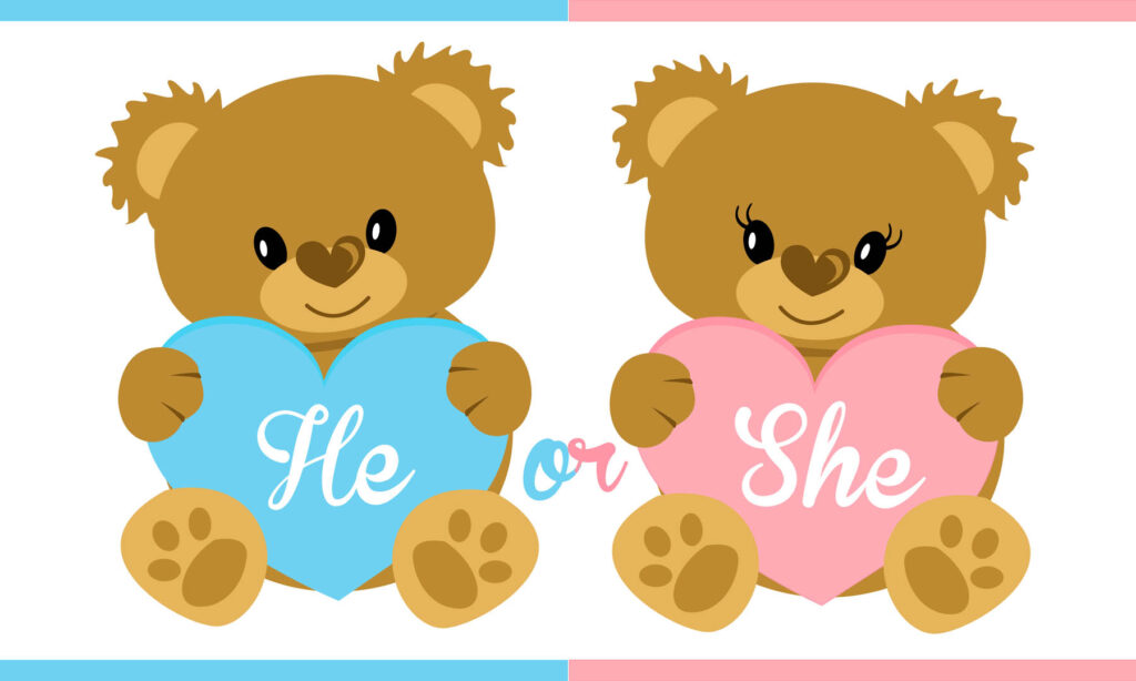 gender reveal party, baba neme buli, fiú vagy lány?